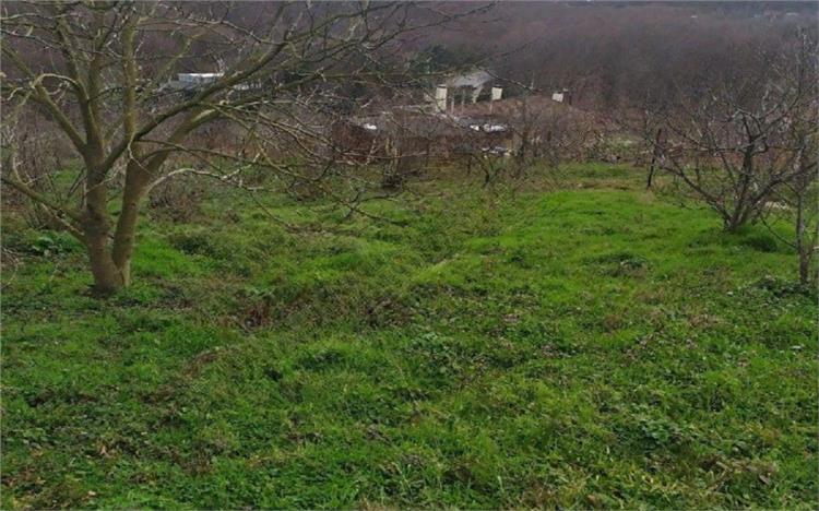 Adıyaman'da Kiralık Geniş Arsa