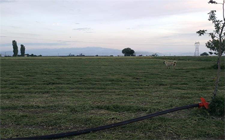 İncesu Çiftik Geniş Arsası